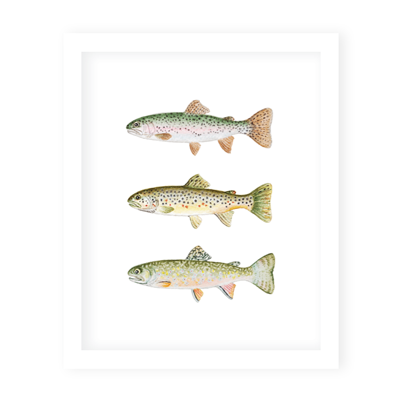 Fly Fishing Art Print