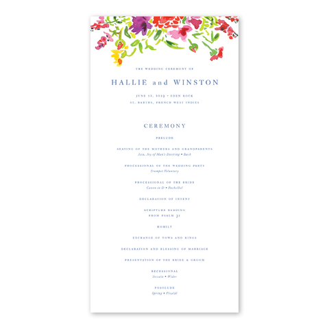 Bougainvillea Program