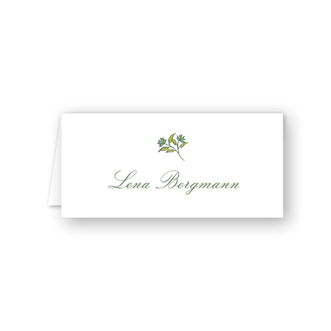Chalet Place Cards